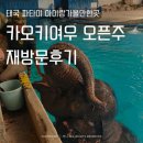 태국 파타야근교 동물원 카오키여우 오픈주 재방문후기