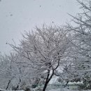데굴데굴 이미지
