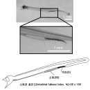 뱀장어 버들잎 유생의 먹이 섭취 평가를 위한 소화관 충만도(intestinal fullness index) 이미지