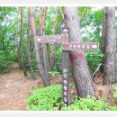 (주)인현