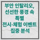 힐링 도예교실 | 부안 인탈리오, 선선한 풍경 속 특별 전시·체험 이벤트 집중 분석