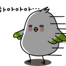 국도반점 이미지