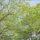 주식회사무브먼트 이미지