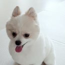 베베네 개스트하우스 이미지