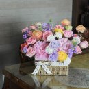 더플레르학원