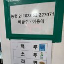 하나유선(하나호) | 인천 배낚시 인천유선 반가워호 초보도 가능한 광어낚시 후기
