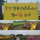 꽃썸 이미지
