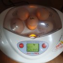 아름다운 꿩농원 이미지