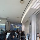 169 | 유니클로 니들스 발매 현장 후기 | 롯데월드몰 대기번호 169번의 생생 후기