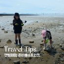 아이와 갯벌체험 준비물 총정리｜현실 후기 & 꿀팁 (조개 잘 잡는 방법과 포인트)