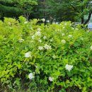 비둘기근린공원 이미지