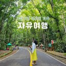 필리핀 보홀 자유여행 패키지 및 팡라오 공항 무료 픽업 후기