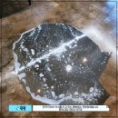 새삥종합청소서울지사