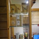 한전 ~ 이바돔 감자탕 이미지