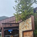 브레드메밀