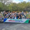 제주감귤농업협동조합중문지점 이미지