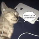 미국 출장 LA 한인타운 게티센터 비즈니스석 그리피스 천문대