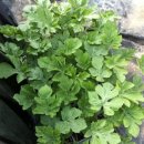 지인농장 이미지