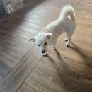 오룡산 등산로 입구 이미지