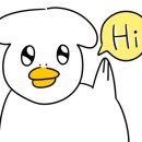 씨더라이트