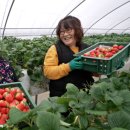 혜숙농장 이미지