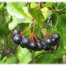 이준구농장 이미지