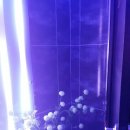 탈랜트노래방 이미지