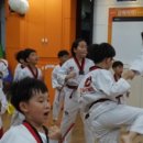 강성장태권도 이미지