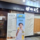 카츠쿠라세종 이미지