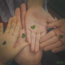 FLUTTER(플루터)