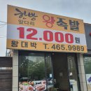 탱탱만두 이미지