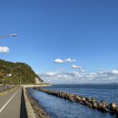 환호해맞이공원 이미지