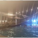 꿈에그린바다펜션 이미지