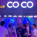 코코CoCo103