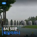 브랜딩나인 | 용인 리림 가격 예약 오픈 직접 확인한 나인힐스 캠핑장 후기