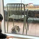 서쪽벳디 이미지