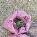 하장초등학교 이미지