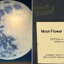 오엘와이