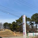 코찜코다리