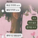 수민이네족발 | 13