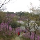 부천둘레길5코스 이미지