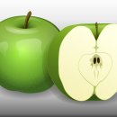 하루,한끼 이미지