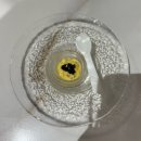 509한식뷔페 | 서울 호텔 뷔페 추천 | “웨스틴 서울 파르나스 온 테이블” 런치 솔직 후기(12만원대로 할인받은 꿀팁...