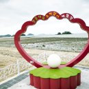 조개체험장  대죽 이미지