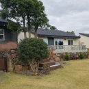 서쪽강생이 이미지