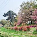 소트리팜