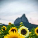 진안군농업기술센터 이미지