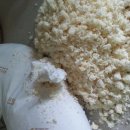 화남(아) 이미지