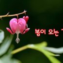 봄이오는길목