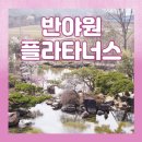 반야원 | 구례대형카페 추천!! 자연 속 힐링 가능한 화엄사카페 반야원 플라타너스 후기